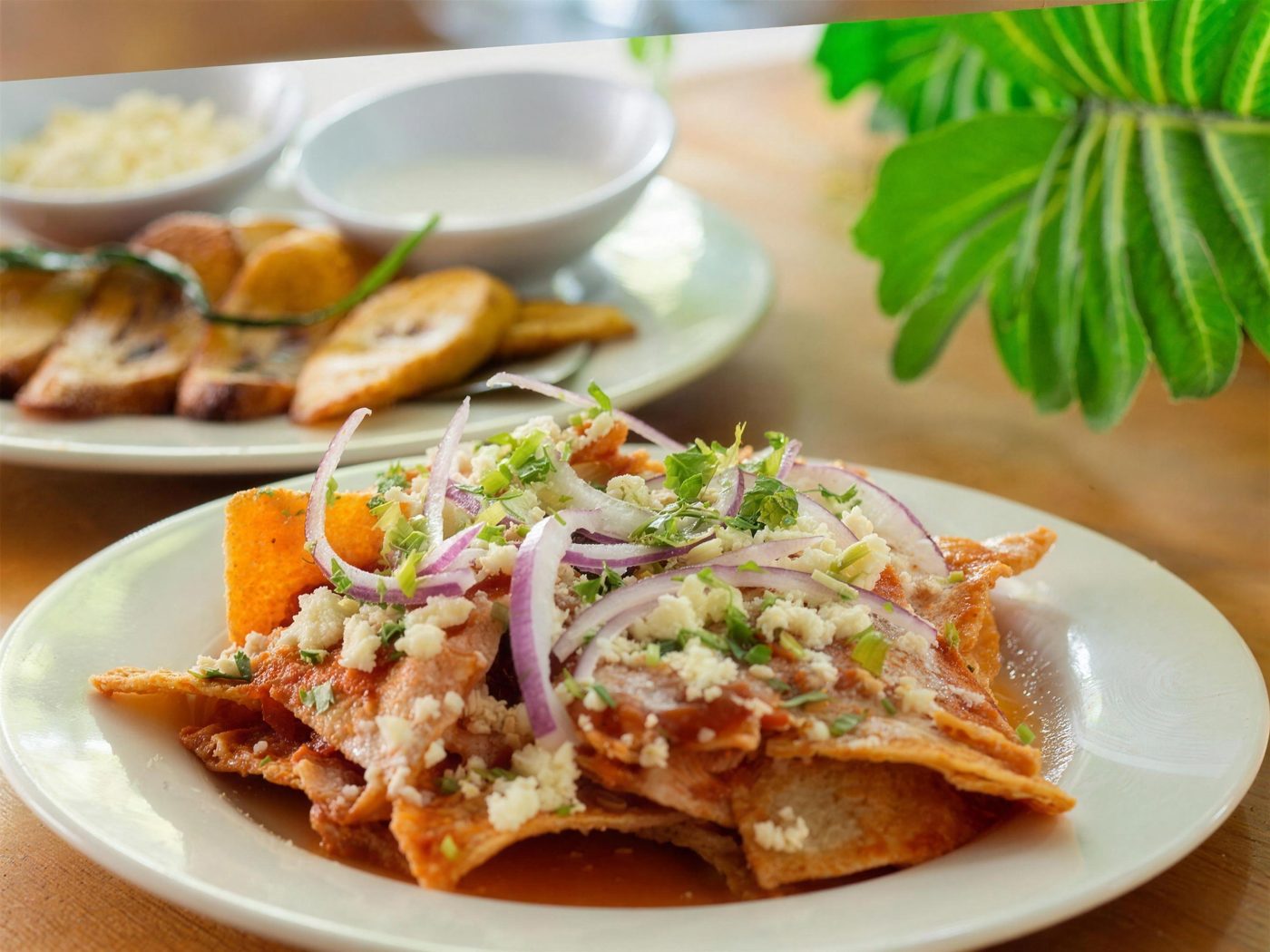 Desayuno buffet: chilaquiles con cebolla morada